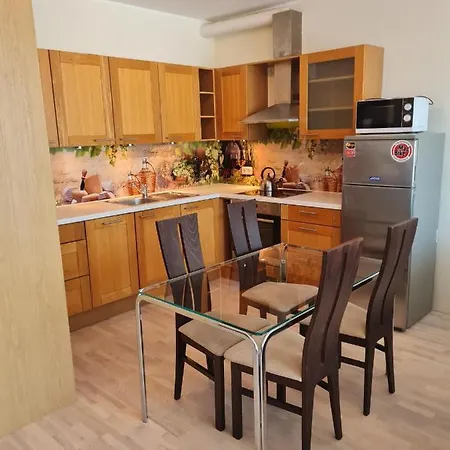 Lejlighed Cozy One Bedroom In Center *