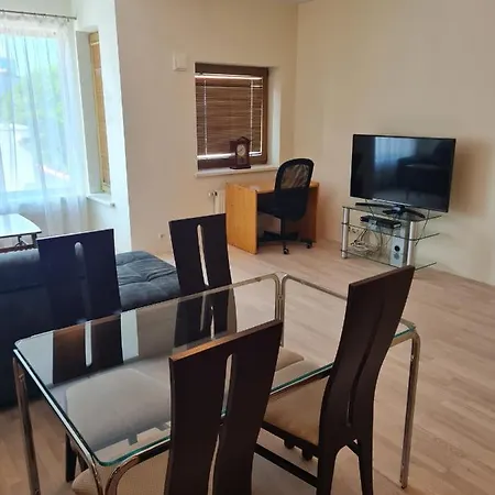 Cozy One Bedroom In Center アパート