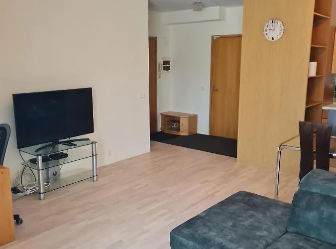 Cozy One Bedroom In Center דירה טאלין