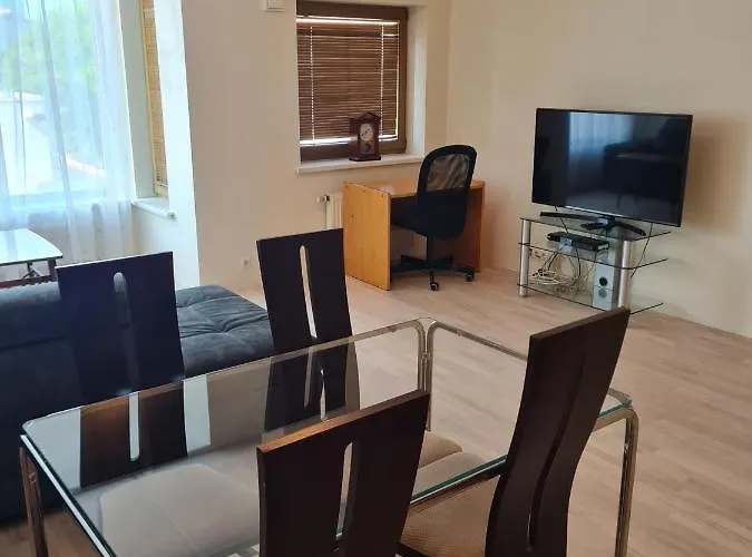 Cozy One Bedroom In Center 公寓