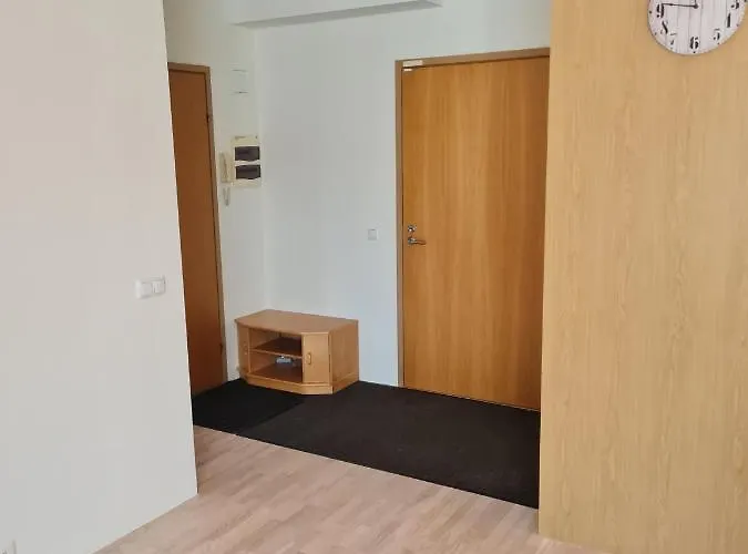 公寓 Cozy One Bedroom In Center